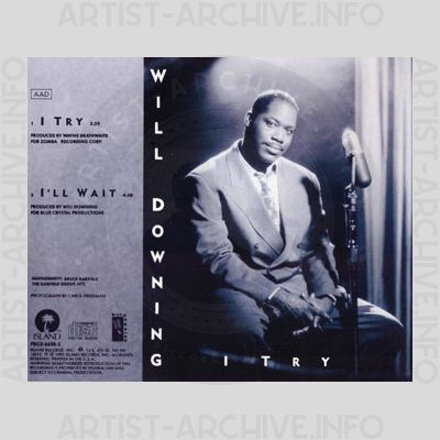 Will Downing - I Try