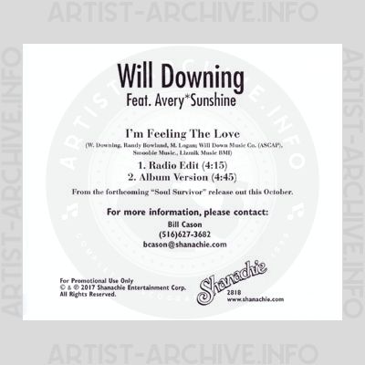 Will Downing - I'm Feeling The Love