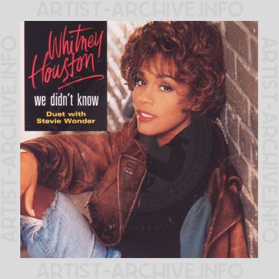 Whitney Houston & Stevie Wonder - We Didn't Know