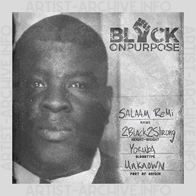 Salaam Remi - Black On Purpose
