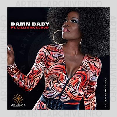Amr Salah Mahmoud feat. Lillie McCloud - Damn Baby
