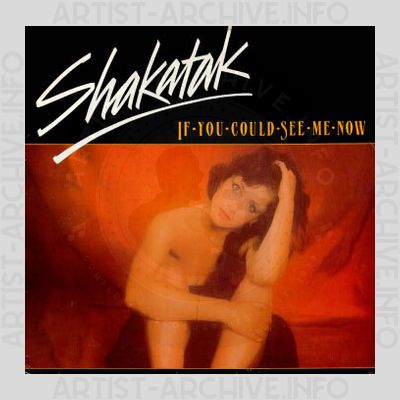 Shakatak - If You Could See Me Now