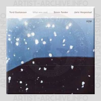 Tord Gustavsen / Simin Tander / Jarle Vespestad – What Was Said