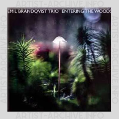 Emil Brandqvist Trio – Entering the Woods